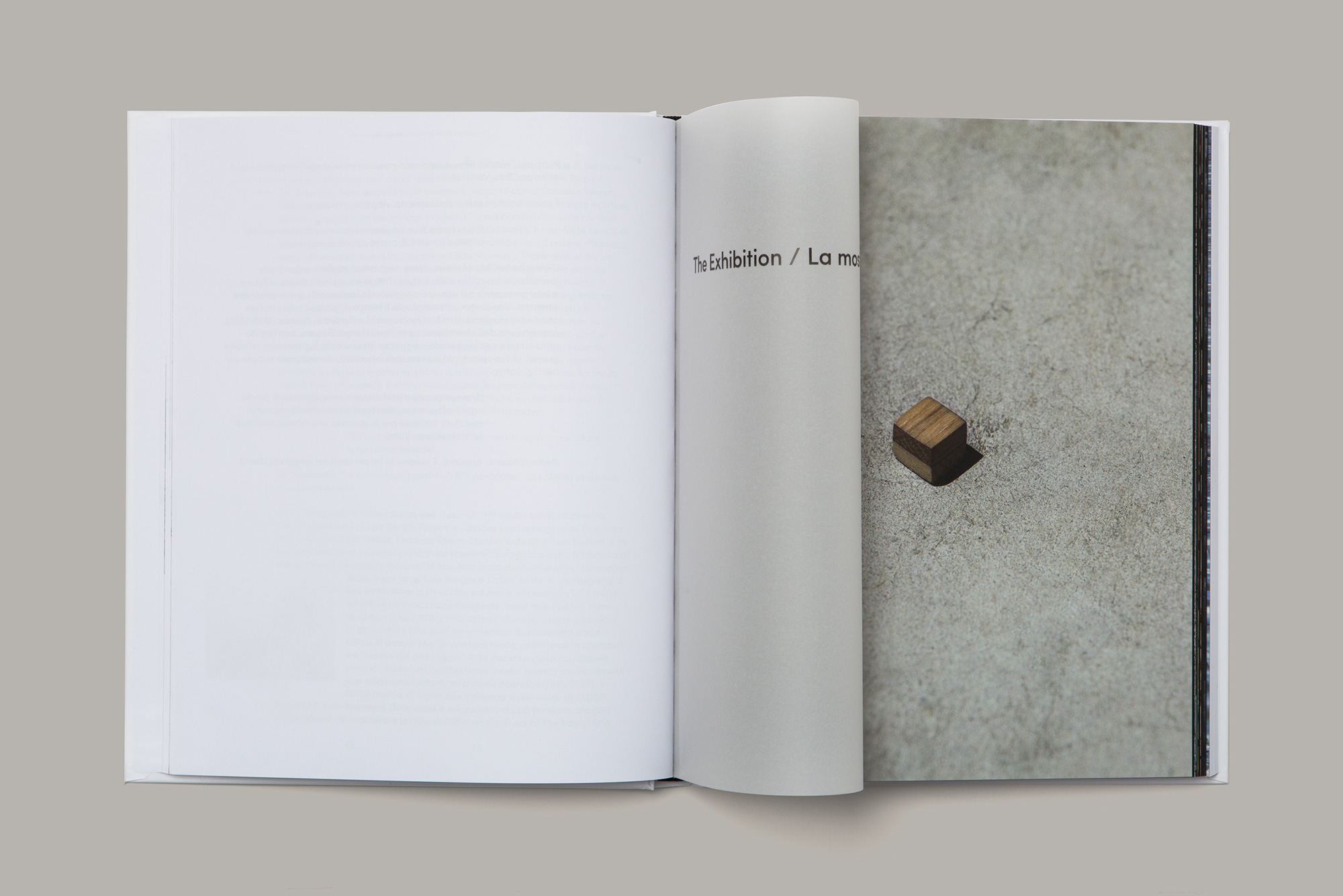 Giulia Dolci - Cildo Meireles Catalogue
