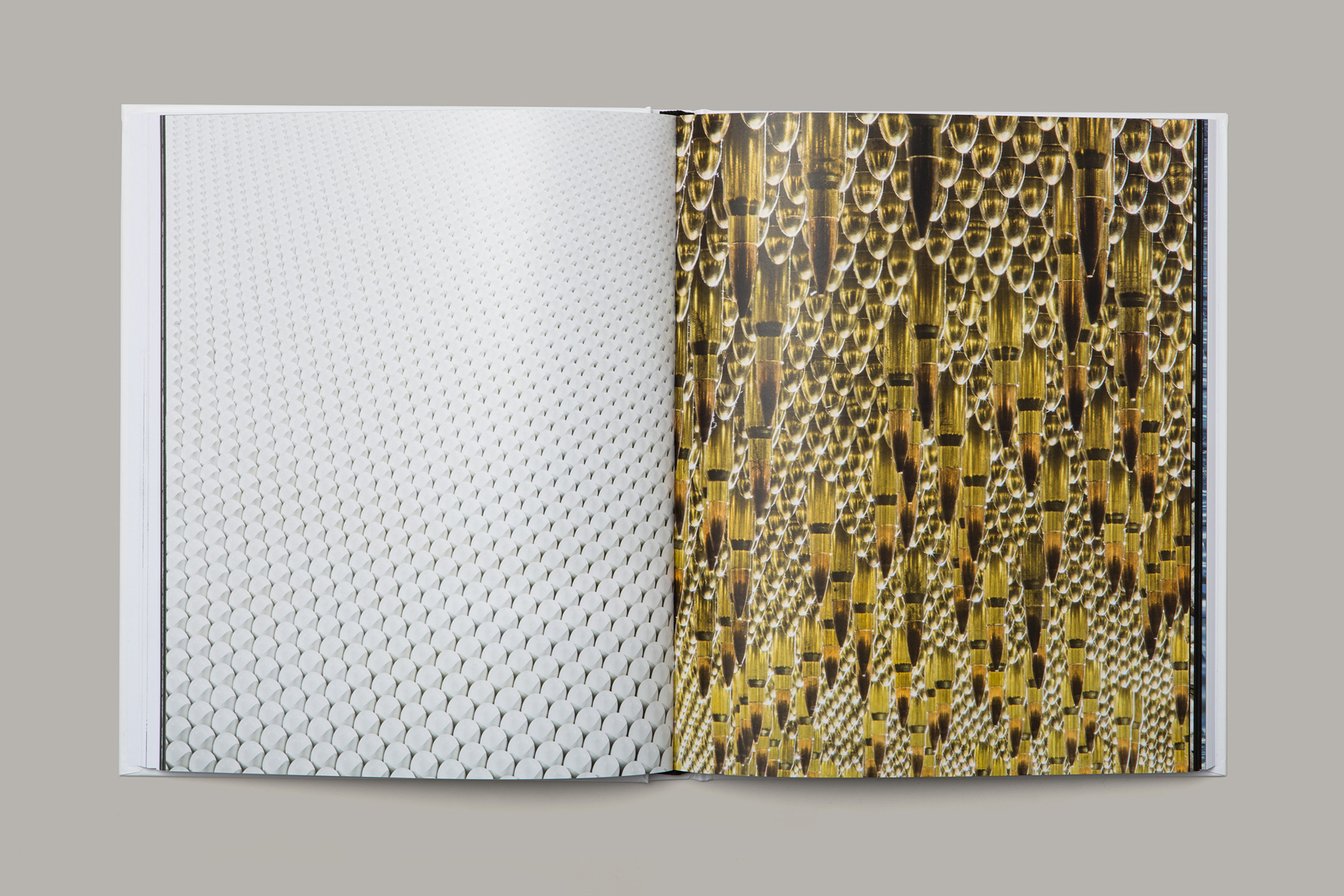 Giulia Dolci - Cildo Meireles Catalogue