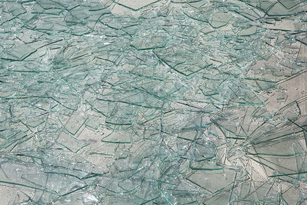 Giulia Dolci | Cildo Meireles — Catalogue