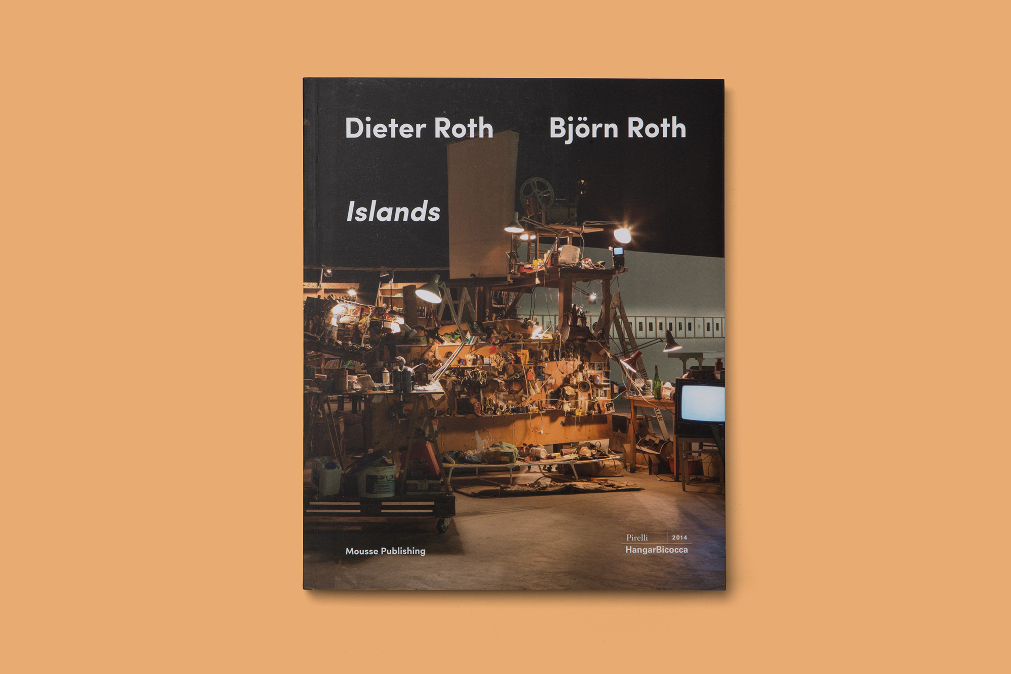 Giulia Dolci - Dieter Roth Catalogue — Cover