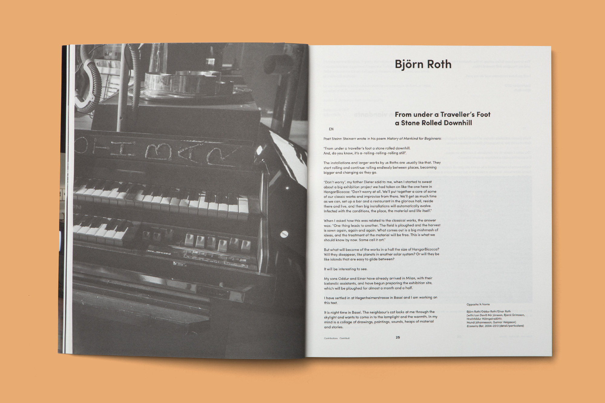 Giulia Dolci - Dieter Roth Catalogue — Inner Pages